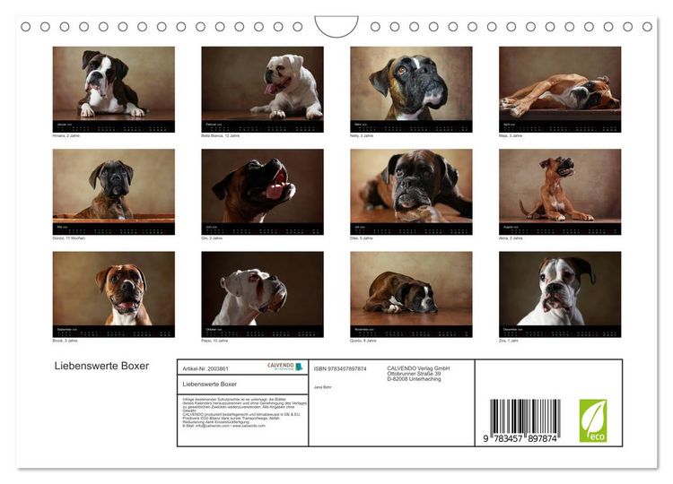 Produktbild: Liebenswerte Boxer (Wandkalender 2026 DIN A4 quer), CALVENDO Monatskalender