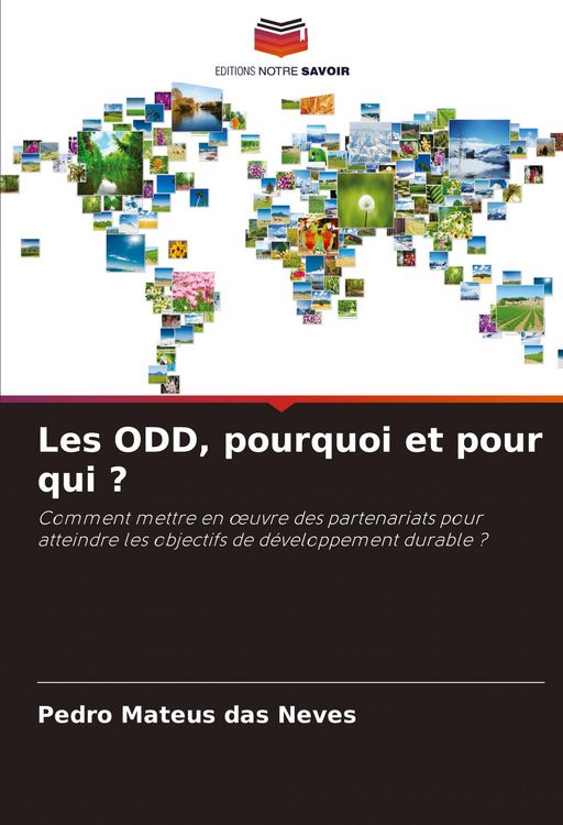 Produktbild: Les ODD, pourquoi et pour qui ?