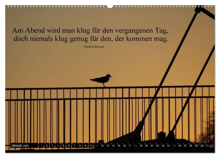 Produktbild: Weisheiten, Zitate und Spr&uuml;che - Ein Jahr voller Gedanken 2026 (hochwertiger Premium Wandkalender 2026 DIN A2 quer), Kunstdruck in Hochglanz
