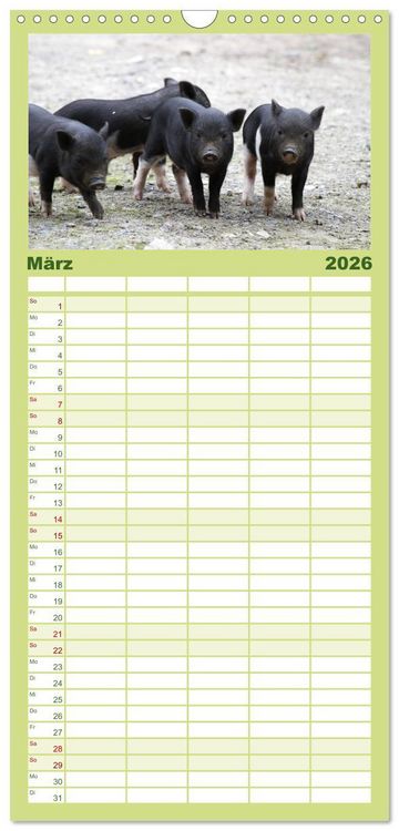 Produktbild: Familienplaner 2026 - Schwein gehabt! mit 5 Spalten (Wandkalender, 21 x 45 cm) CALVENDO