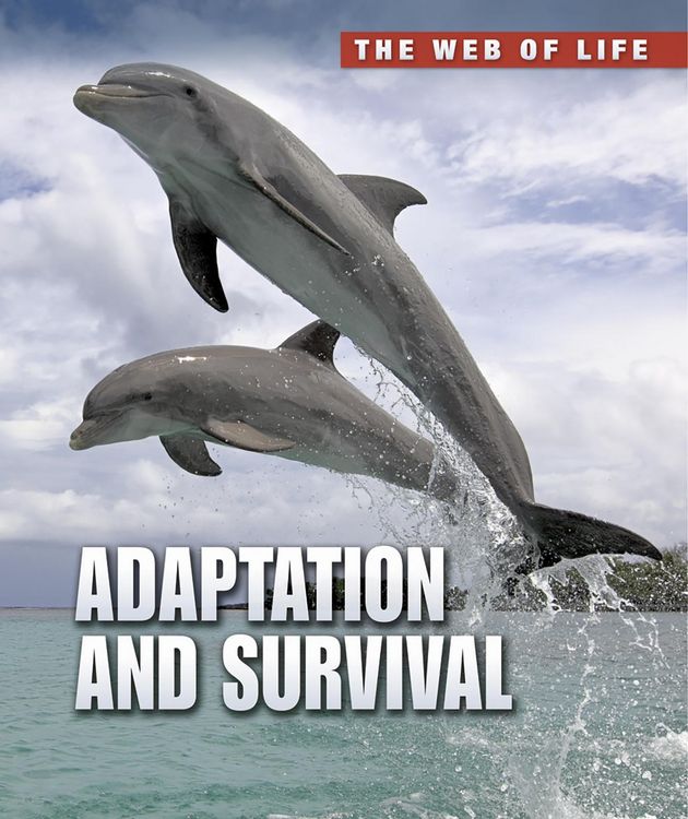 Produktbild: Adaptation and Survival
