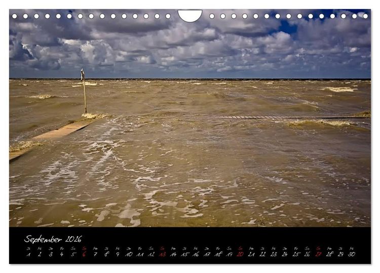 Produktbild: Friedrichskoog Buhnen und Salzwiesen (Wandkalender 2026 DIN A4 quer), CALVENDO Monatskalender
