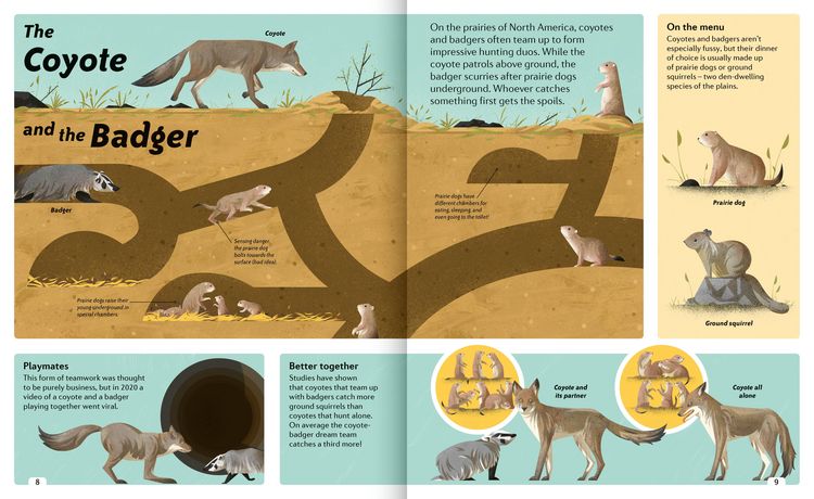 Produktbild: Animal Sidekicks