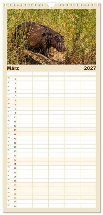 Produktbild: Familienplaner 2027 - Hippos - Gef&auml;hrliche Giganten mit 5 Spalten (Wandkalender, 21 x 45 cm) CALVENDO