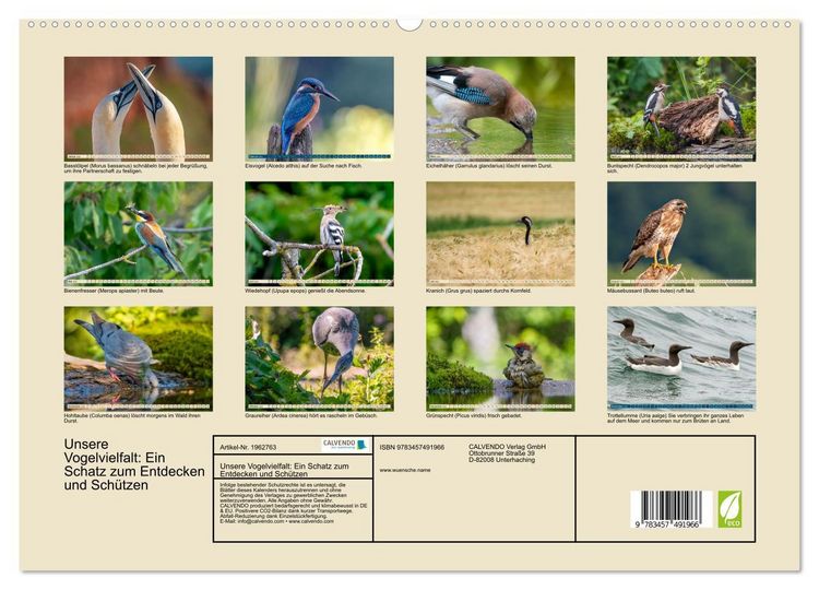 Produktbild: Unsere Vogelvielfalt: Ein Schatz zum Entdecken und Sch&uuml;tzen (hochwertiger Premium Wandkalender 2026 DIN A2 quer), Kunstdruck in Hochglanz