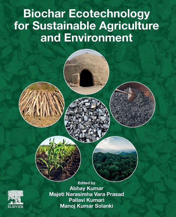 Produktbild: Biochar Ecotechnology for Sustainable Agriculture and Environment