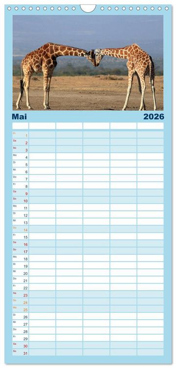 Produktbild: Familienplaner 2026 - Giraffen - Sanftheit und Anmut mit 5 Spalten (Wandkalender, 21 x 45 cm) CALVENDO