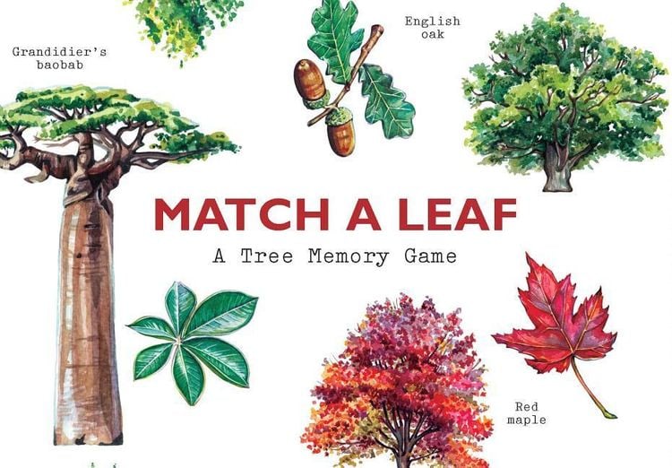 Produktbild: Match a Leaf