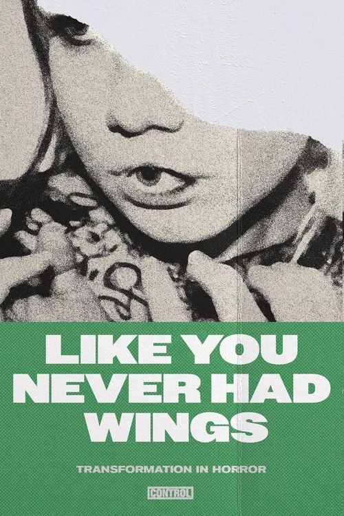 Produktbild: Like You Never Had Wings