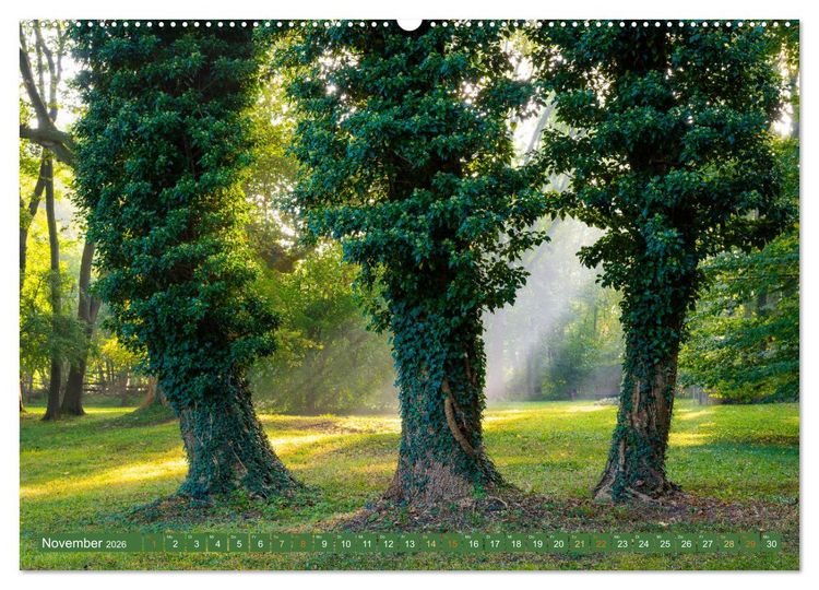 Produktbild: Herbst im Dieskauer Park (Wandkalender 2026 DIN A2 quer), CALVENDO Monatskalender