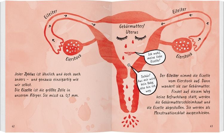 Produktbild: Mein kleines rotes Buch