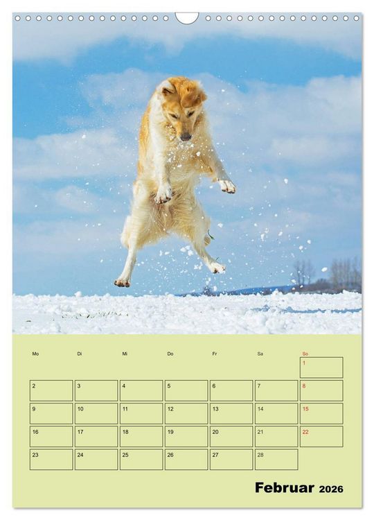 Produktbild: Jahresplaner Golden Retriever (Wandkalender 2026 DIN A3 hoch), CALVENDO Monatskalender