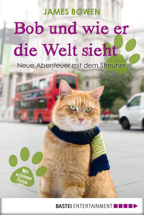 Produktbild: Bob und wie er die Welt sieht