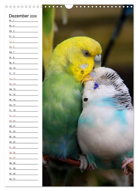 Produktbild: WELLENSITTICHE - S&uuml;&szlig;e Wellis (Wandkalender 2026 DIN A3 hoch), CALVENDO Monatskalender