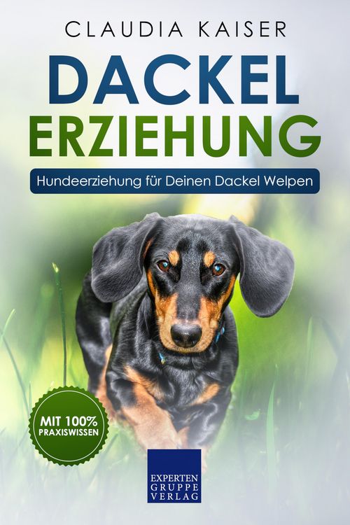 Produktbild: Dackel Erziehung - Hundeerziehung f&uuml;r Deinen Dackel Welpen (Teckel)