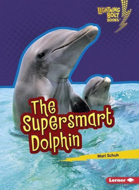 Produktbild: The Supersmart Dolphin