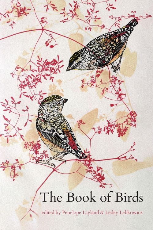 Produktbild: The Book of Birds