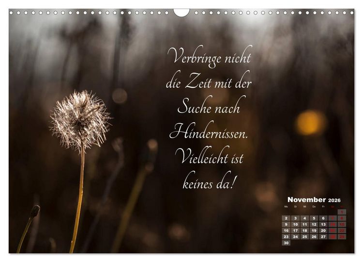 Produktbild: Chinesische Weisheiten (Wandkalender 2026 DIN A3 quer), CALVENDO Monatskalender
