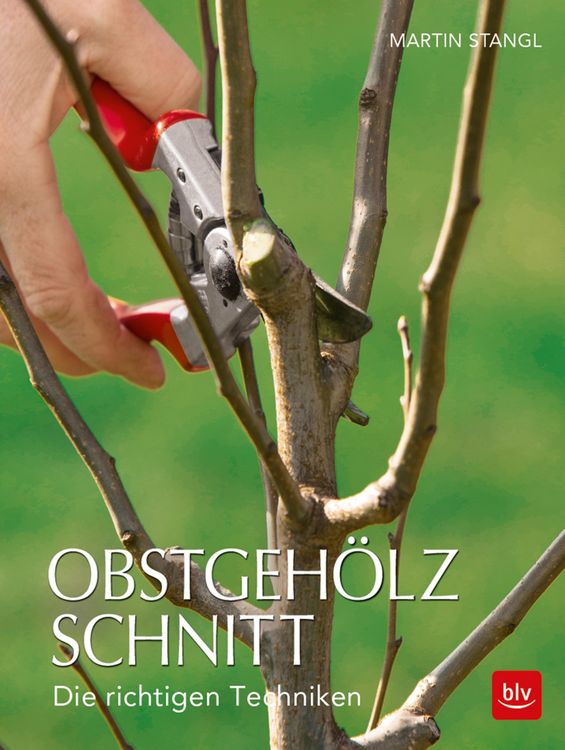 Produktbild: Obstgeh&ouml;lzschnitt