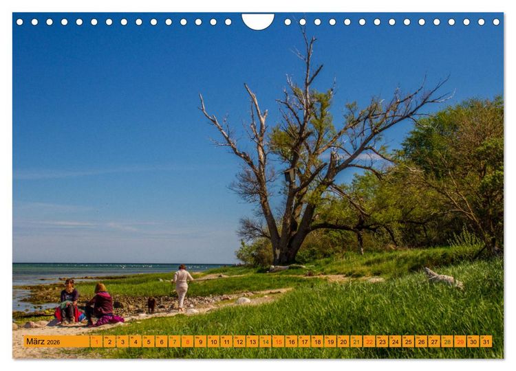 Produktbild: Wismarer Bucht - Impressionen zwischen Kl&uuml;tzer Winkel und der Insel Poel (Wandkalender 2026 DIN A4 quer), CALVENDO Monatskalender