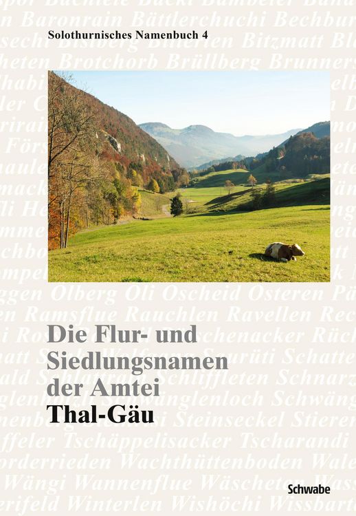 Produktbild: Die Flur- und Siedlungsnamen der Amtei