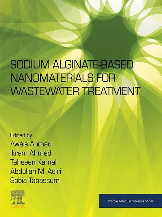 Produktbild: Sodium Alginate-Based Nanomaterials for Wastewater Treatment