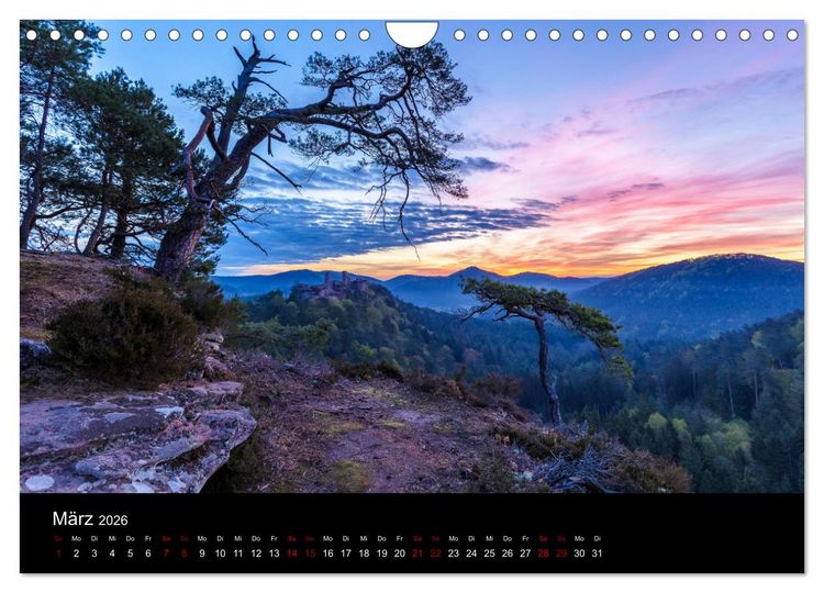 Produktbild: Sagenhafter Pf&auml;lzerwald (Wandkalender 2026 DIN A4 quer), CALVENDO Monatskalender