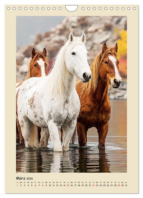 Produktbild: Amerikanische Mustangs. Symbole f&uuml;r Freiheit und Pioniergeis (Wandkalender 2026 DIN A4 hoch), CALVENDO Monatskalender