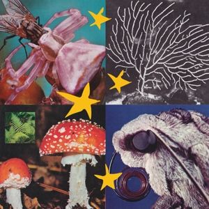 Produktbild: All Things Considered Vol.2