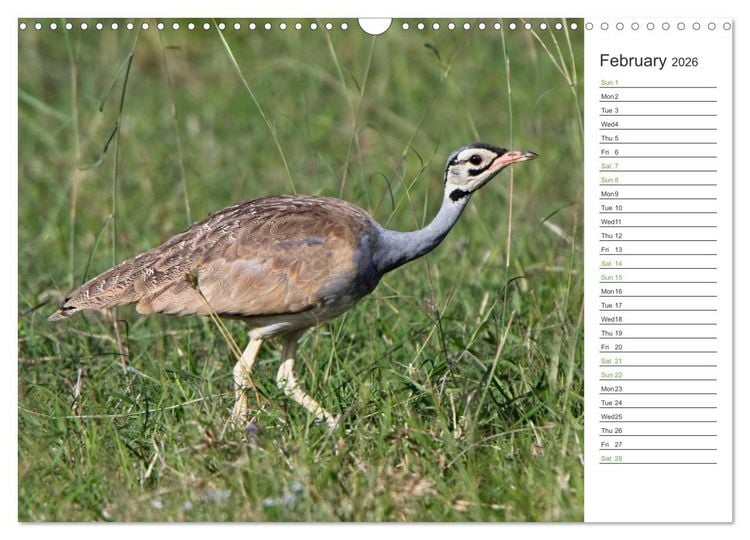 Produktbild: Kenya - its Wildlife (Wall Calendar 2026 DIN A3 landscape), CALVENDO 12 Month Wall Calendar