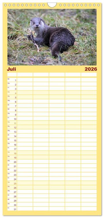 Produktbild: Familienplaner 2026 - Fischotter, flinke J&auml;ger mit 5 Spalten (Wandkalender, 21 x 45 cm) CALVENDO