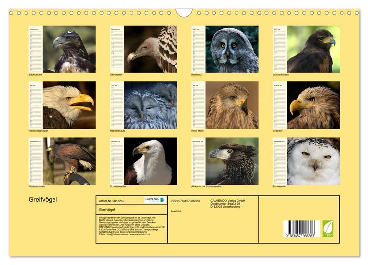 Produktbild: Greifv&ouml;gel (Wandkalender 2026 DIN A3 quer), CALVENDO Monatskalender