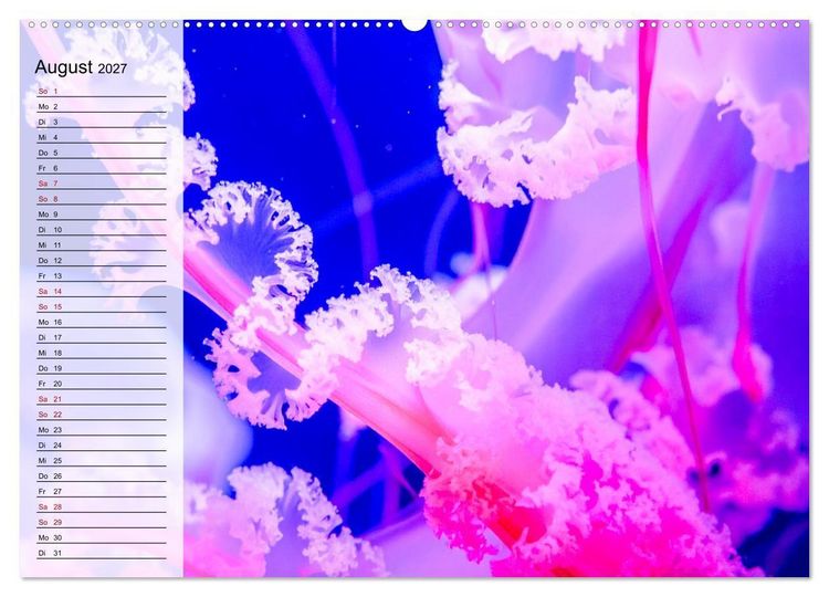 Produktbild: Quallen - Faszinierende Urzeitwesen der Meere (hochwertiger Premium Wandkalender 2027 DIN A2 quer), Kunstdruck in Hochglanz