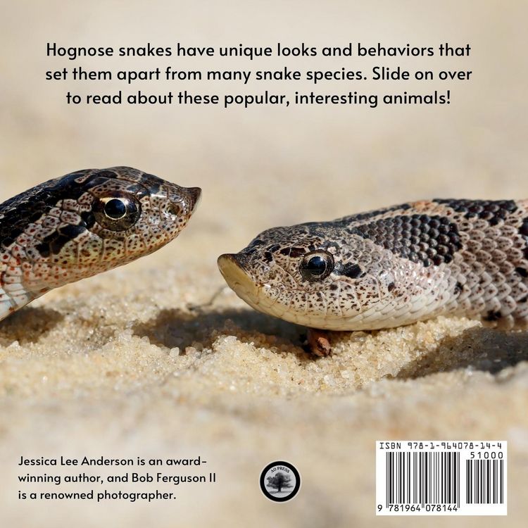 Produktbild: Hognose Snakes