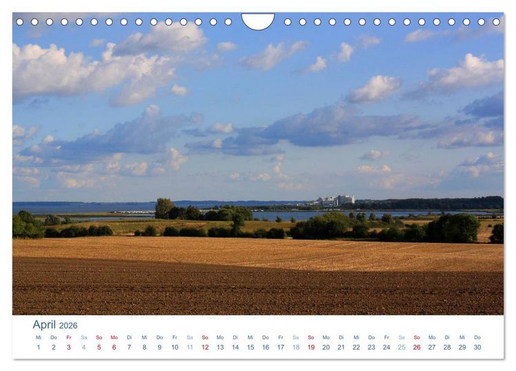 Produktbild: Schwansen 2026. Impressionen zwischen Schlei und Ostsee (Wandkalender 2026 DIN A4 quer), CALVENDO Monatskalender