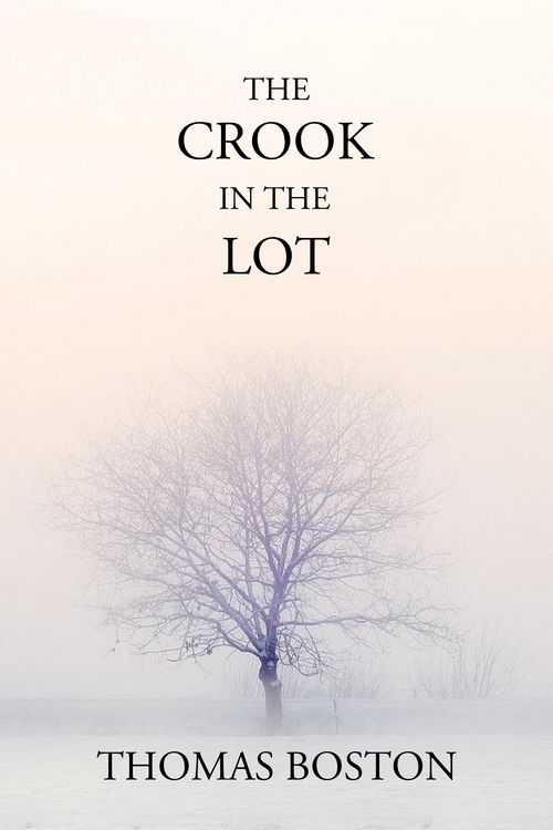 Produktbild: The Crook in the Lot