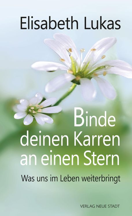 Produktbild: Binde deinen Karren an einen Stern