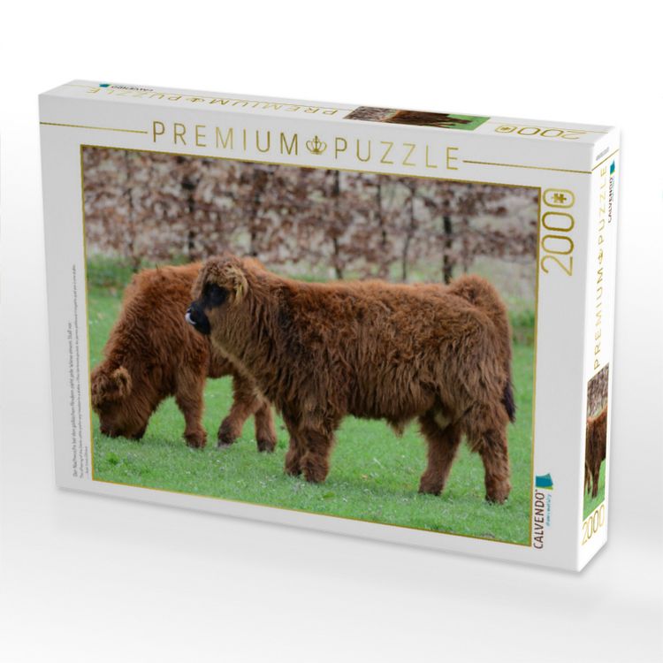 Produktbild: CALVENDO Puzzle Der Nachwuchs bei den g&auml;llischen Rindern zieht jede Wiese einem Stall vor. | 2000 Teile Lege-Gr&ouml;&szlig;e 90x67cm Foto-Puzzle f&uuml;r gl&uuml;ckliche