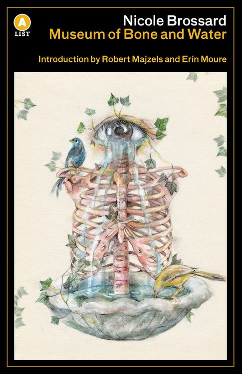 Produktbild: Museum of Bone and Water