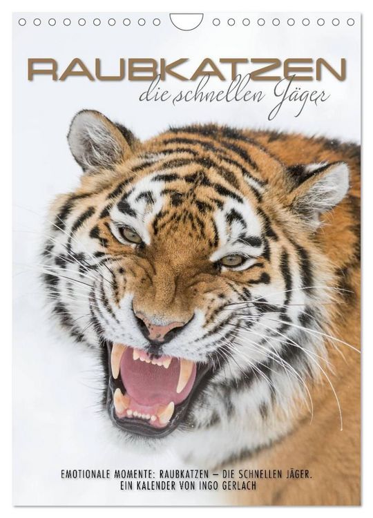Produktbild: Emotionale Momente: Raubkatzen - die schnellen J&auml;ger. (Wandkalender 2027 DIN A4 hoch), CALVENDO Monatskalender