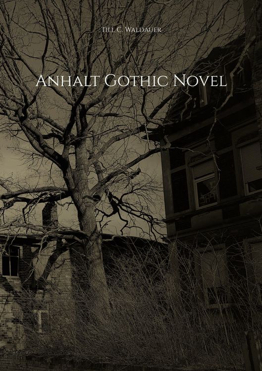 Produktbild: Anhalt Gothic Novel