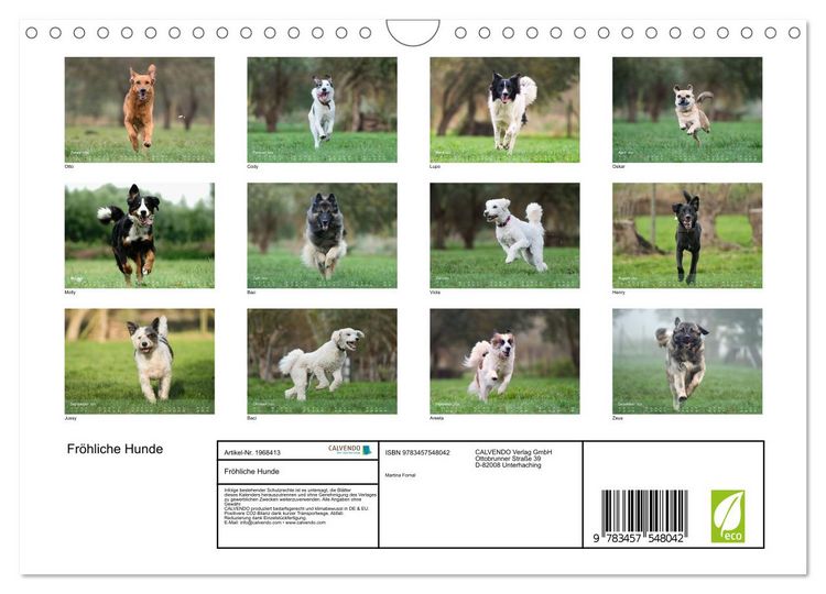 Produktbild: Fr&ouml;hliche Hunde (Wandkalender 2026 DIN A4 quer), CALVENDO Monatskalender