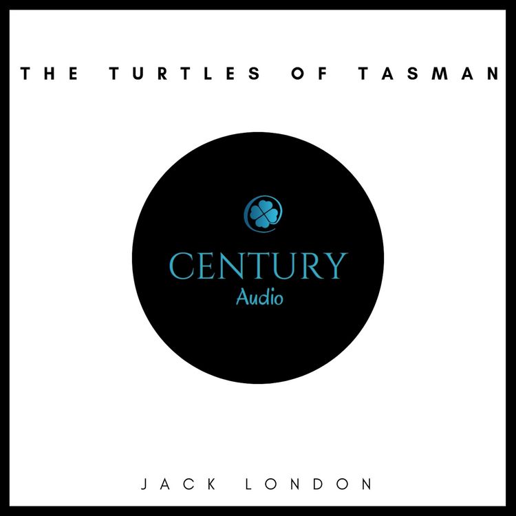 Produktbild: The Turtles of Tasman