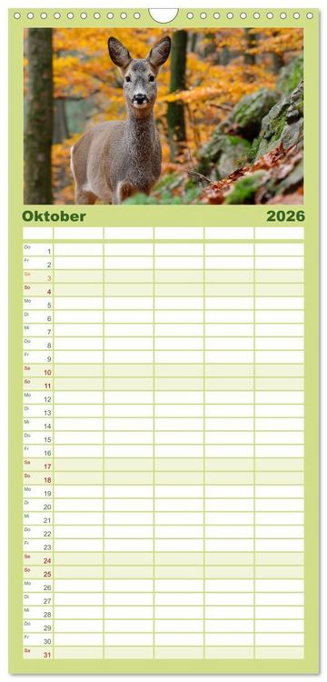 Produktbild: Familienplaner 2026 - HIRSCHE UND REHE - Ein Jahr in freier Wildbahn mit 5 Spalten (Wandkalender, 21 x 45 cm) CALVENDO