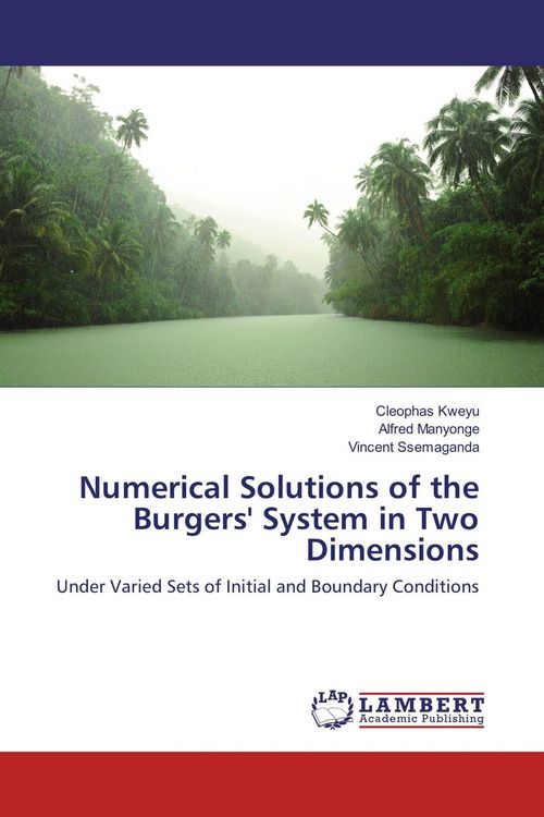 Produktbild: Numerical Solutions of the Burgers' System in Two Dimensions