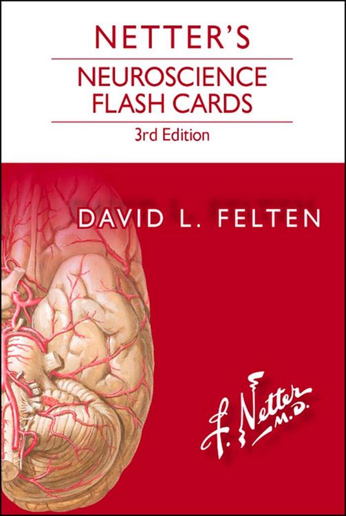 Produktbild: Netter's Neuroscience Flash Cards E-Book