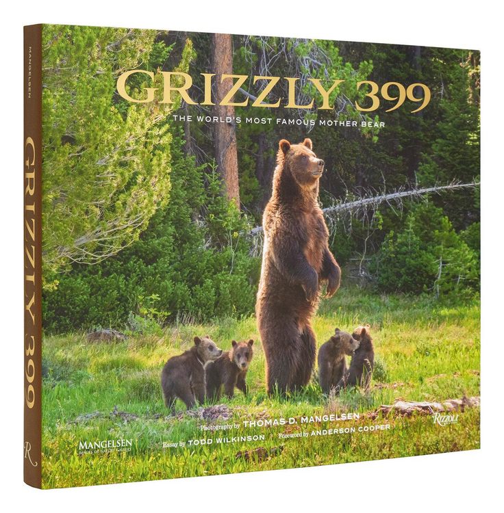 Produktbild: Grizzly 399