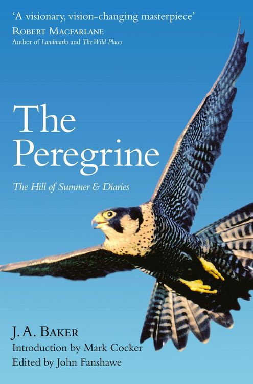 Produktbild: The Peregrine