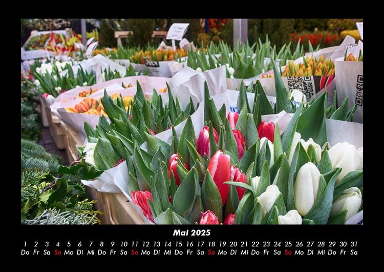 Produktbild: Blumenzauber 2025 Fotokalender DIN A3