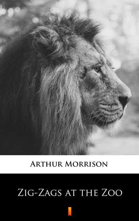 Produktbild: Zig-Zags at the Zoo
